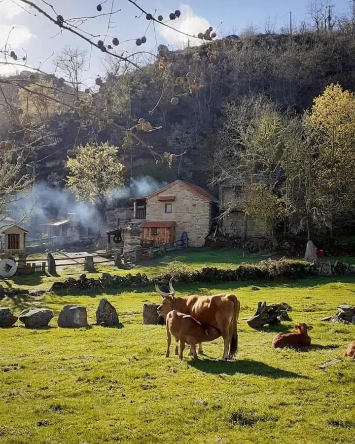 Aldeia De Pontes - Castro Laboreiro Eksteriør bilde